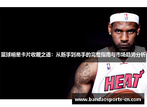 篮球明星卡片收藏之道：从新手到高手的完整指南与市场趋势分析